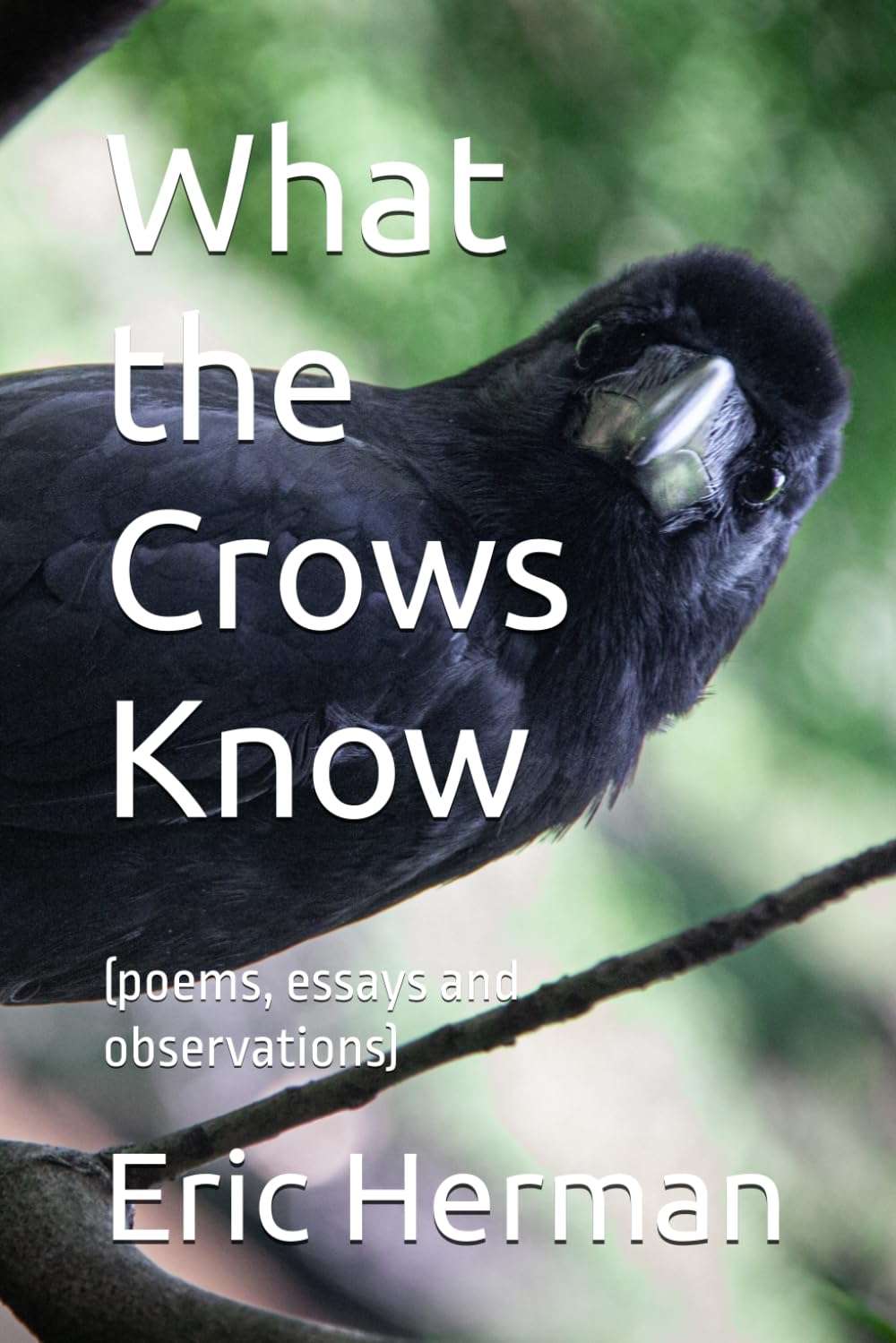 What the Crows Know: (poems, essays and observations)