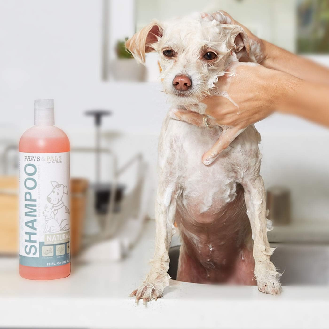 paws & pals shampoo