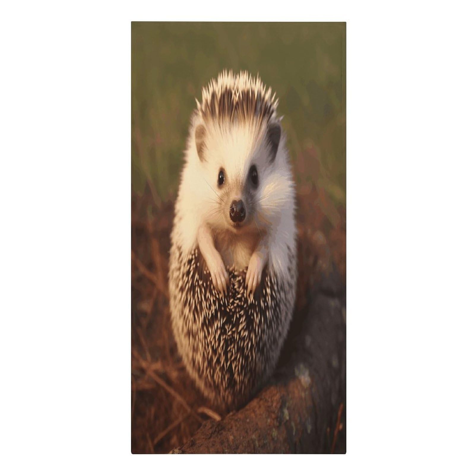 VstaDank Hedgehog Beach Towels 30"x61" Microfiber Super Absorbent Large Bath Towels Cozy Soft Swim Travel Towel Quick Dry Thin Pool Towel Beach Accessories for Outdoor Adult