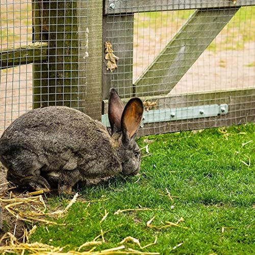 Hardware Cloth 1/2 inch Wire Mesh Roll: 48 in x 50 ft Garden Fencing Galvanized After Welding Chicken Fence Square Mesh 19 Gauge Rabbit Snake Cage Heavy Duty