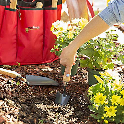 OCALIVING Garden Tool Set- Gardening Tools -Planting Trowel, Fork, Weeder, Transplanter, Rake & 6 Pocket Storage Bag -Heavy Duty Gardening Kit- Gardening Gift Women Men -Wood Handle Tools
