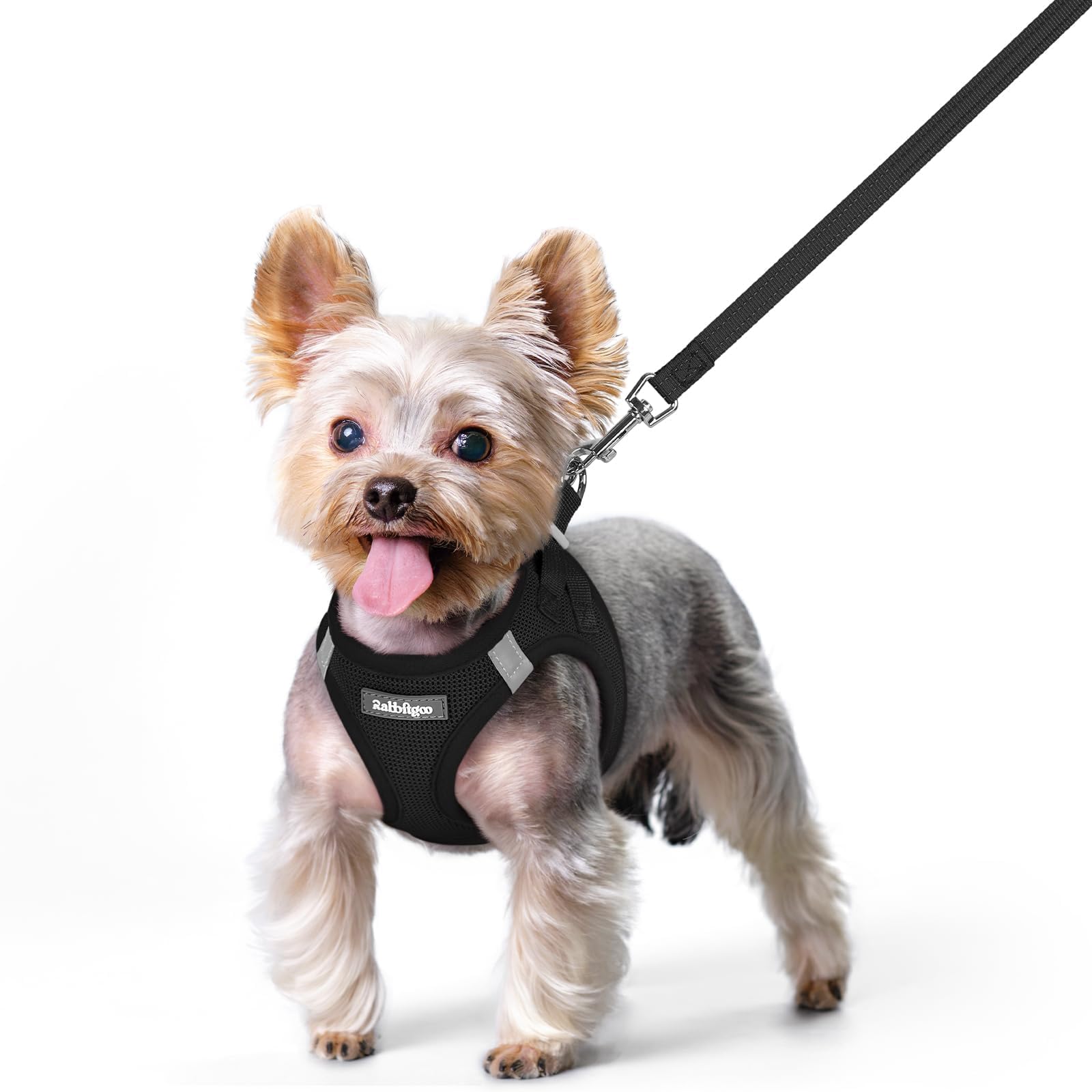 rabbitgoo Dog Harness Small Sized and Leash Set, Step-in Puppy Pet Vest