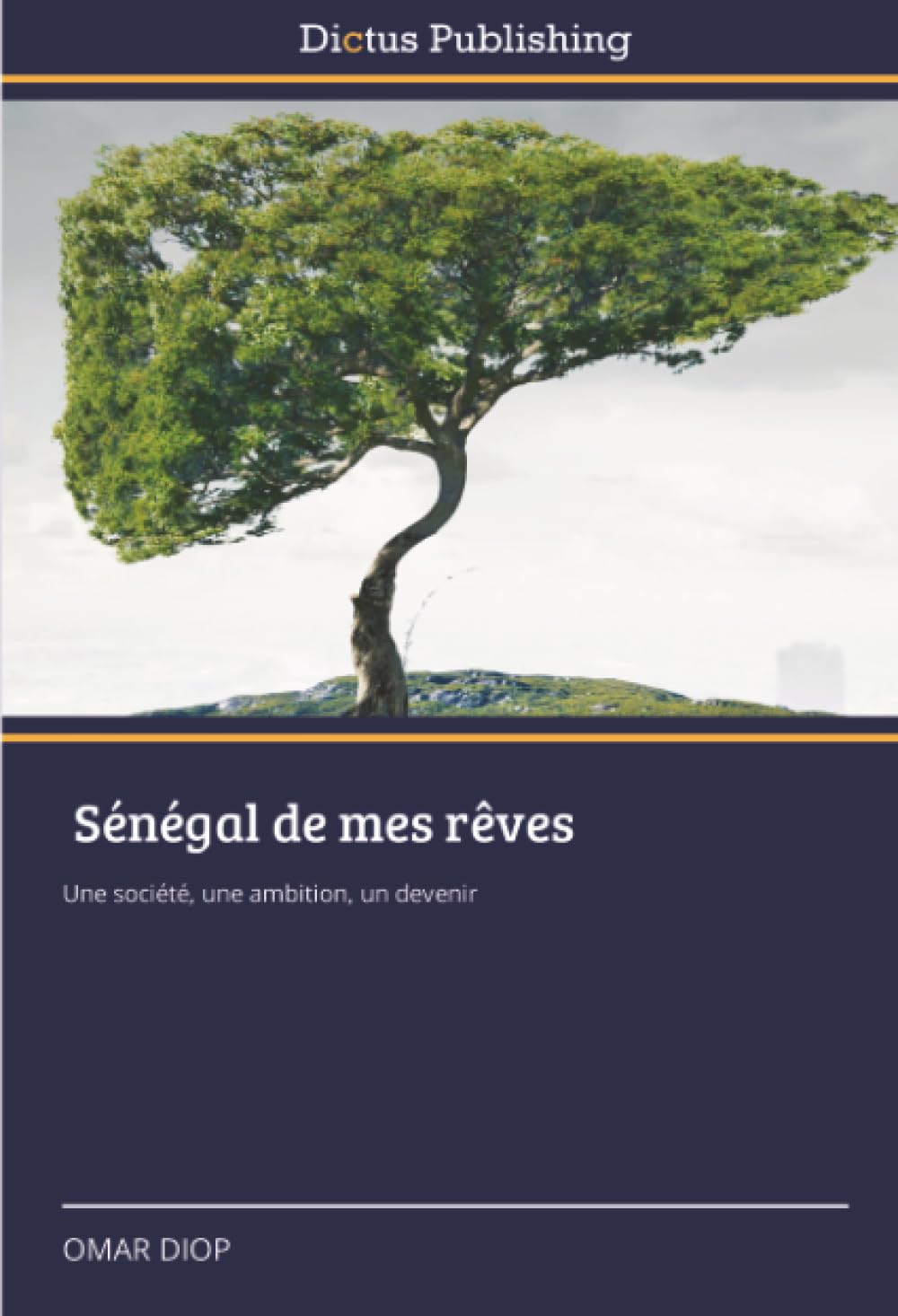 Sénégal de mes rêves: Une société, une ambition, un devenir