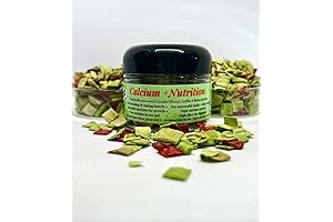 Calcium Nutrition Mystery Snail Food - Growth and Vitality for Aquatic Pets