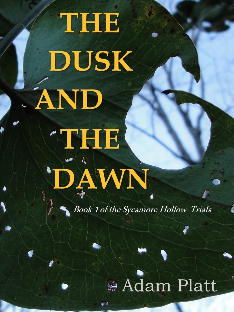 The Dusk and The Dawn (The Sycamore Hollow Trials Book 1)
