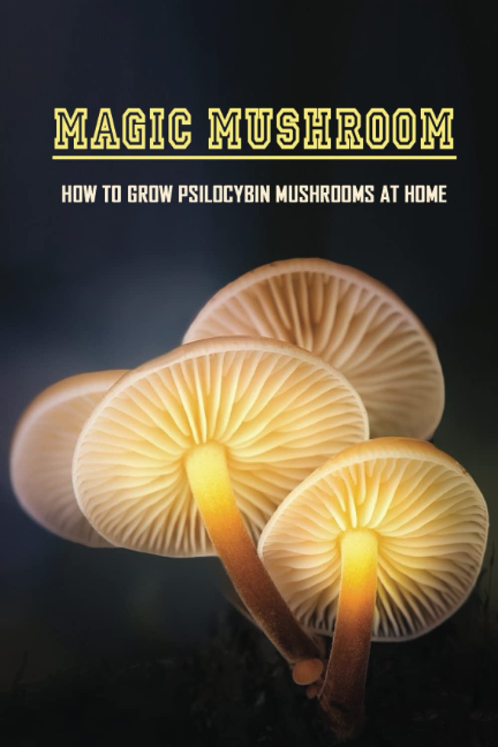 Magic Mushroom: How To Grow Psilocybin Mushrooms At Home: Magic Mushroom Growers Guide