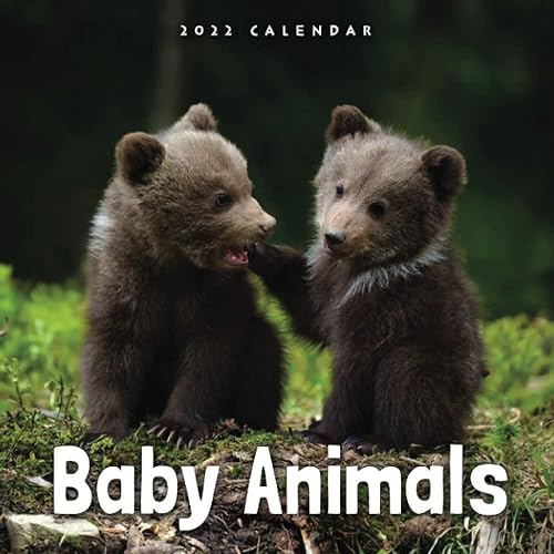 Baby Animals 2022 Calendar: From January 2022 to December 2022 - Square Mini Calendar 8.5x8.5" - Small Gorgeous Non-Glossy Paper