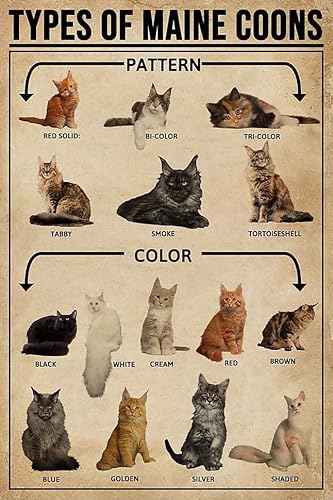 Bioprocess Types of Maine Coon Cat Poster Gift Wall Decor Vintage Home Decor Poster Decor Poster Wall Art Tin Sign Decor Metal Sign Poster 8X12 Inches