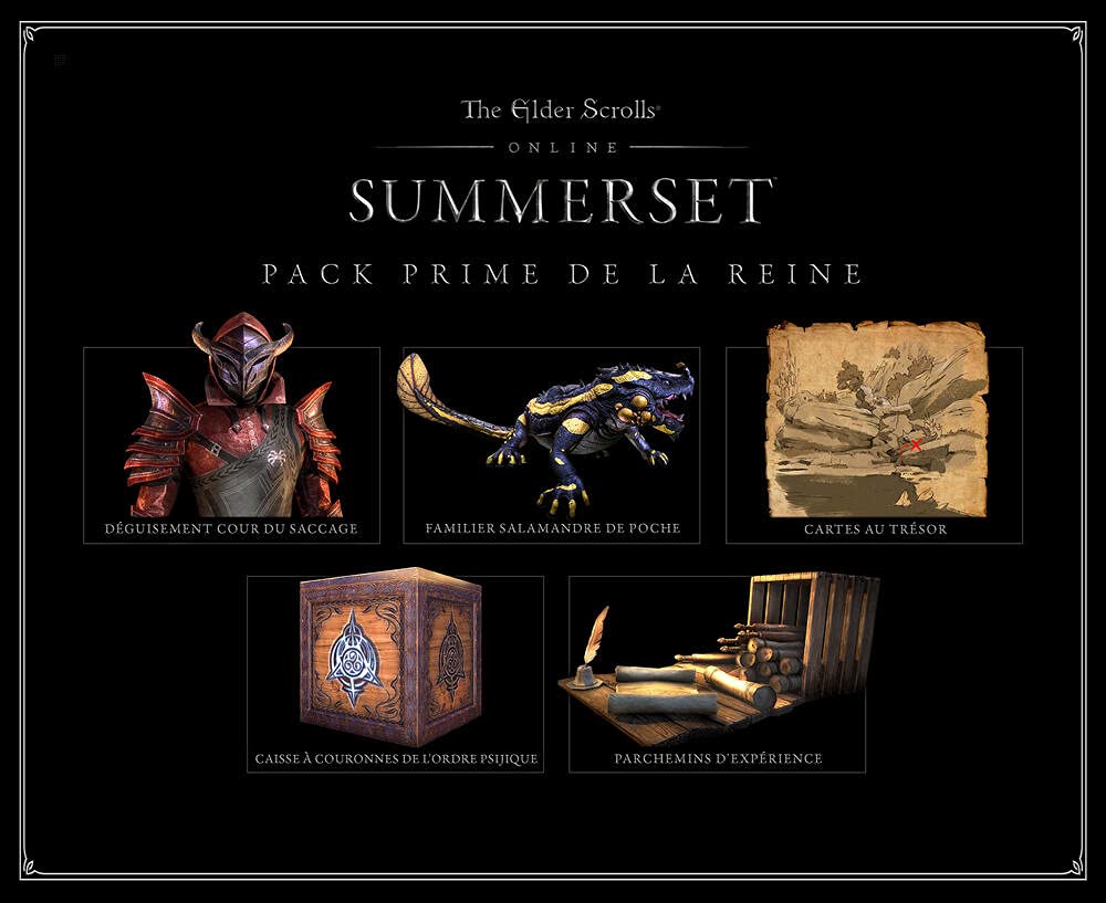 Elder Scrolls online: Summerset CE - PlayStation 4 [Edizione: Francia]