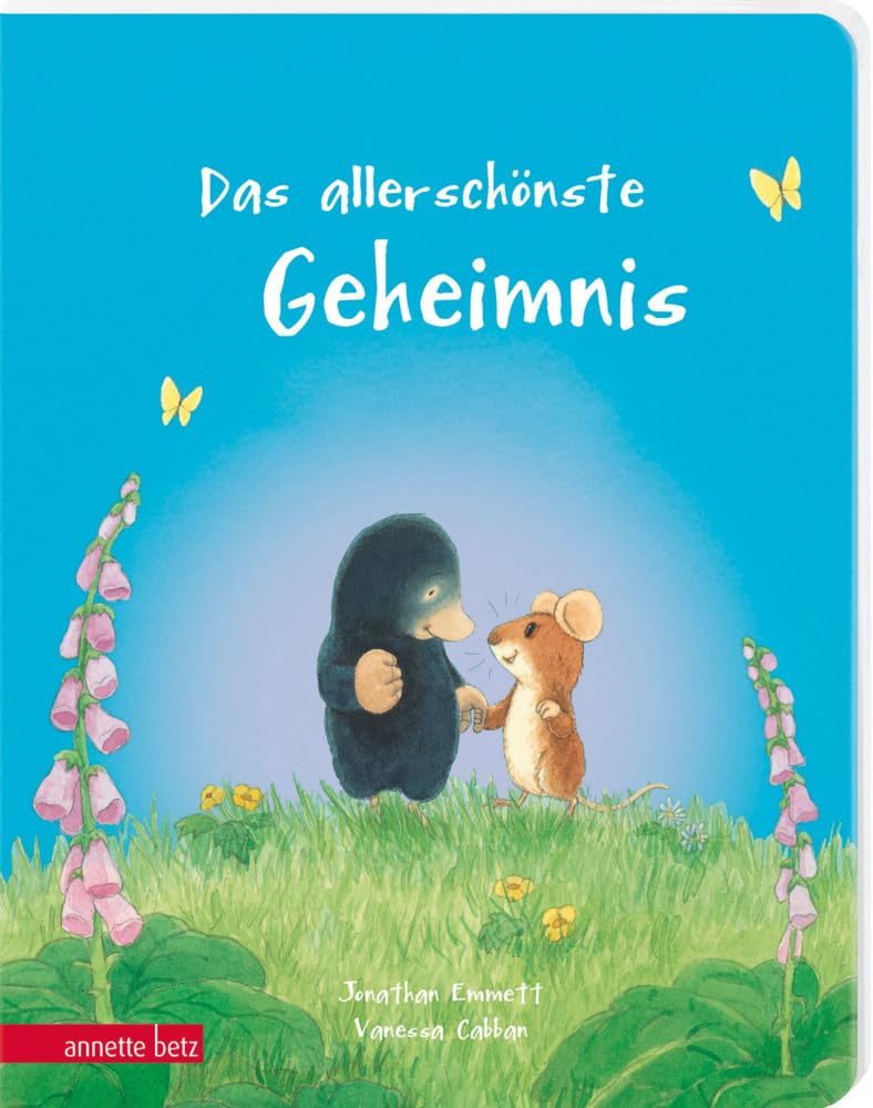 Das allerschönste Geheimnis: Ein liebevolles Pappbilderbuch über Freundschaft