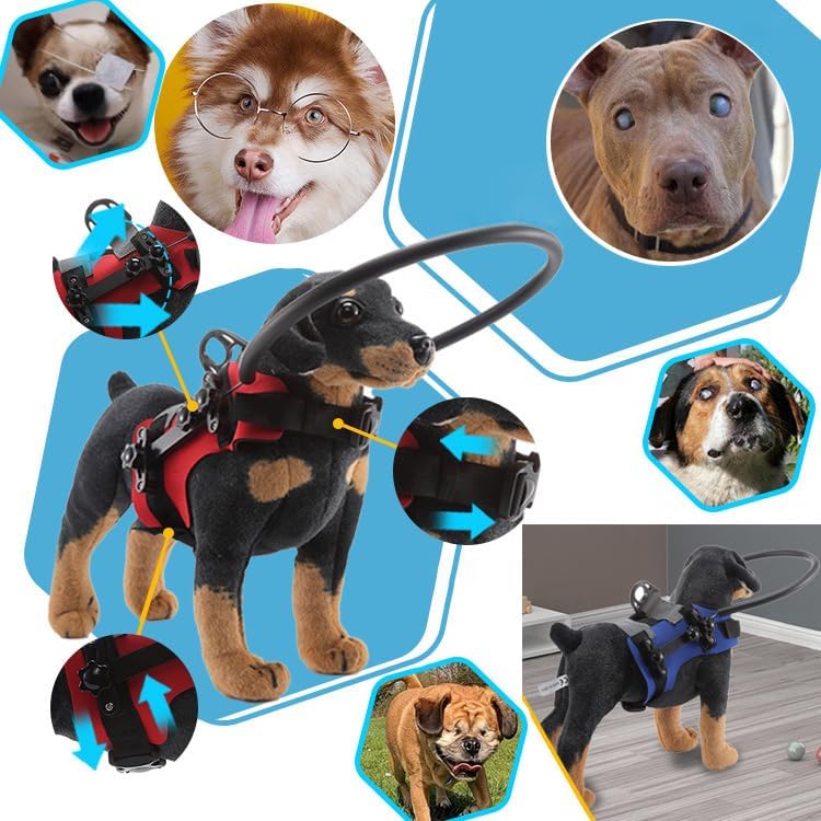 Halo Harness for Blind Dog,Blind Dog Harness, Lightweight Blind Halo with D-Ring, Blind Dog Accessories,Halo Dog Collar, Bump Guard for Blind Dogs Indoor Outdoor (L, M)