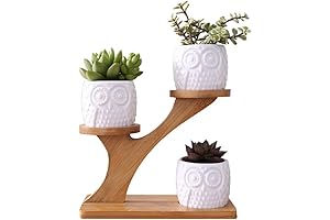 Exquisite 3-Piece Owl Succulent Planter Decor: A Flourishing Haven for Your Plant-Loving Heart