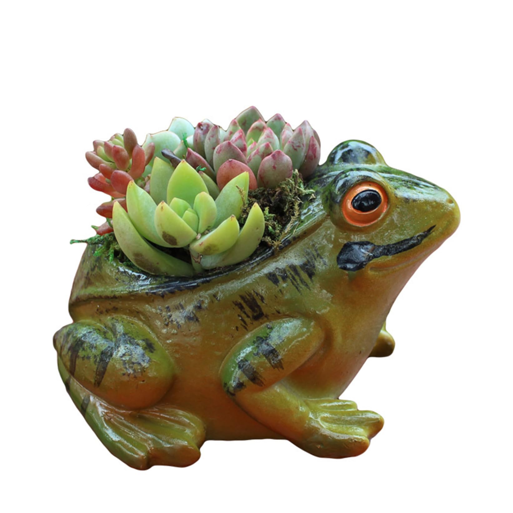 Wedhapy Succulent Pots Frog Flower Pot, Mini Cute Simulation Frog Planter Pot Resin Planter, Easy to Clean Plant Pots, For Indoor Home Desk Succulent Plants Decoration