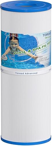 TOREAD Repuesto para filtro de spa PRB25-IN, Unicel C-4326, Filbur FC-2375, FC-2370, R173429, 3005845, 17-2327, 100586, 33521, 25392, 817-2500,