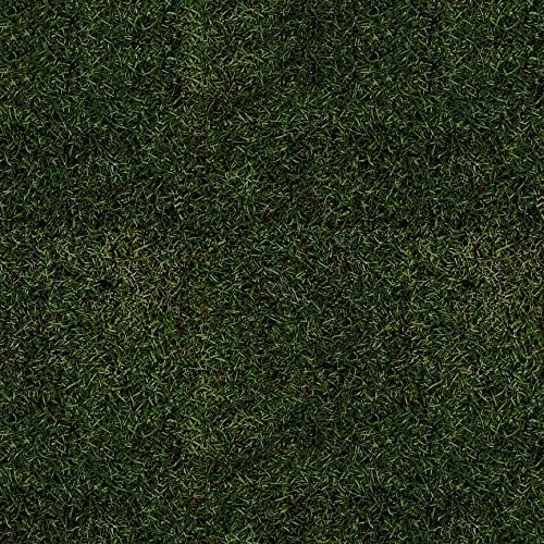 Naturescapes by Deborah Edwards from Northcott 100% Cotton Quilt Fabric 21407 76 Dark Green