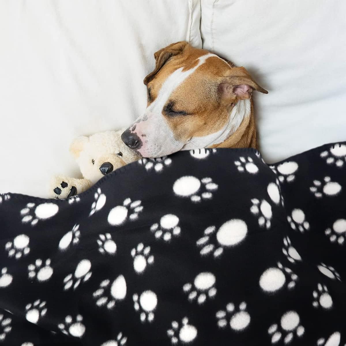 review Dog Blanket Puppy Blanket Black Cat Blanket 6 Pack 24