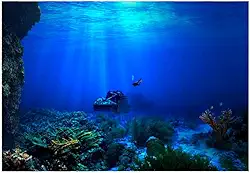 Zerodis fundo de aquário do mundo do mar, adesivo de PVC de efeito 3D, adesivo de dupla face, adesivo de aquário, decoração de aquário de peixe.Zerodis 61 x 41cm Zerodiswn35rzvmb4-02