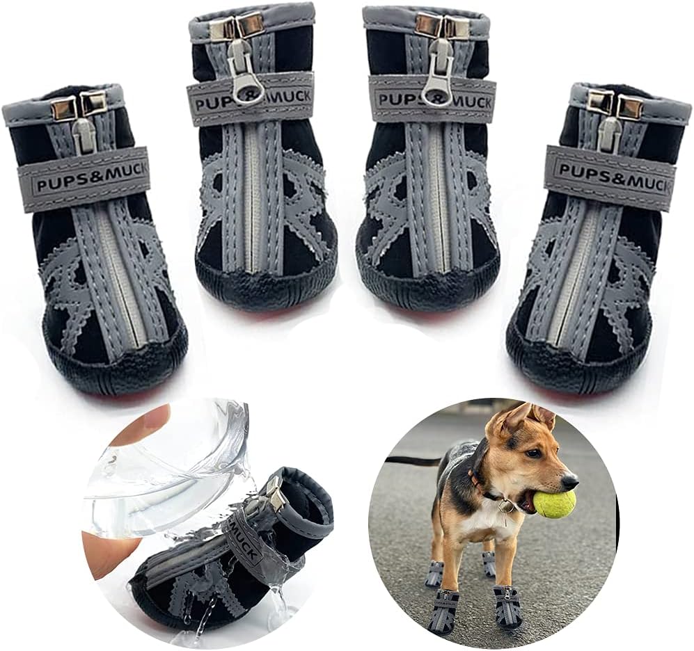 ce dog boots