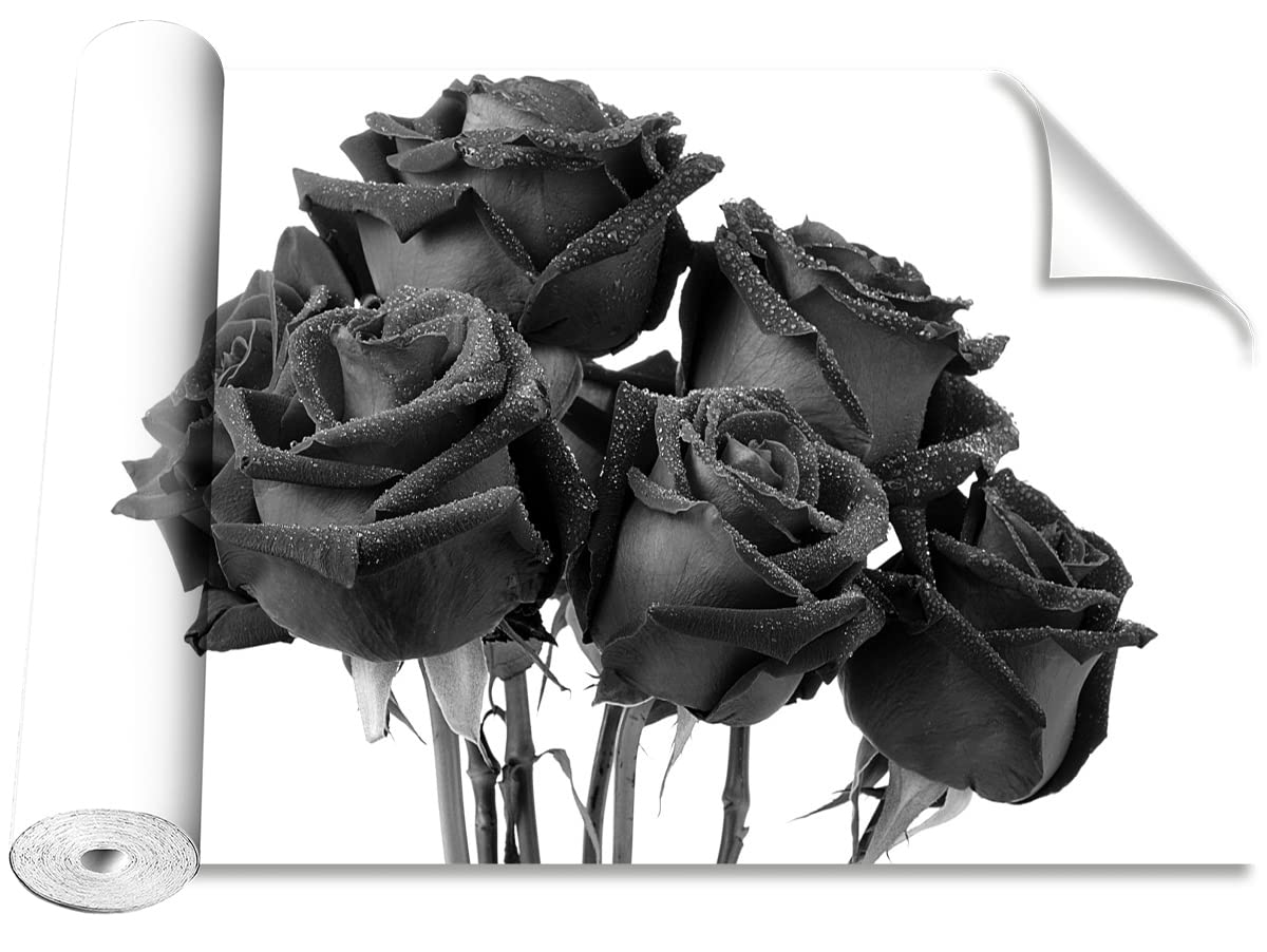 Papier peint roses noires Tulup pour masquer un mur abîmé avec élégance