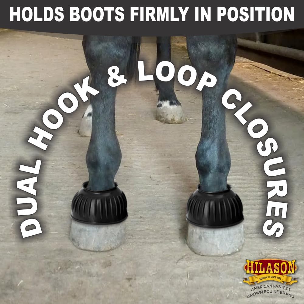 HILASON Western Horse gomma PVC coste doppio gancio e anello Bell Boots Training Protective Shock Absorbing Leg