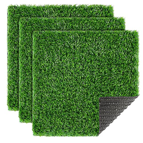 Grass Pad Near Me The 15 Best Products Compared