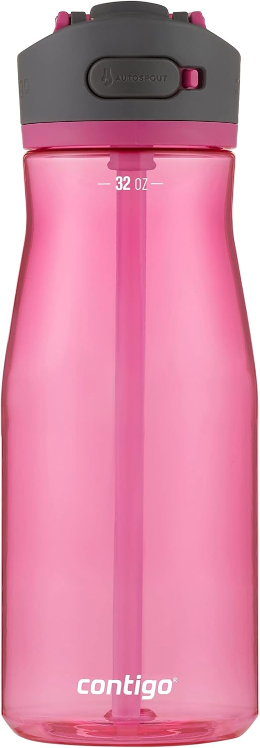 Contigo Ashland 2.0 LeakProof Water Bottle with Straw and Carry Handle