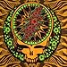 Sunshine Joy Grateful Dead 3D Steal Your Face Tapestry – Officially Licensed Wall Hanging – 60x90 or 30x45 Inches – Cotton Psychedelic Decor
