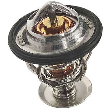 DHE‼️ Amazon.com: XYZIL 76.5℃ Thermostat 8971606540 8-97160654-0