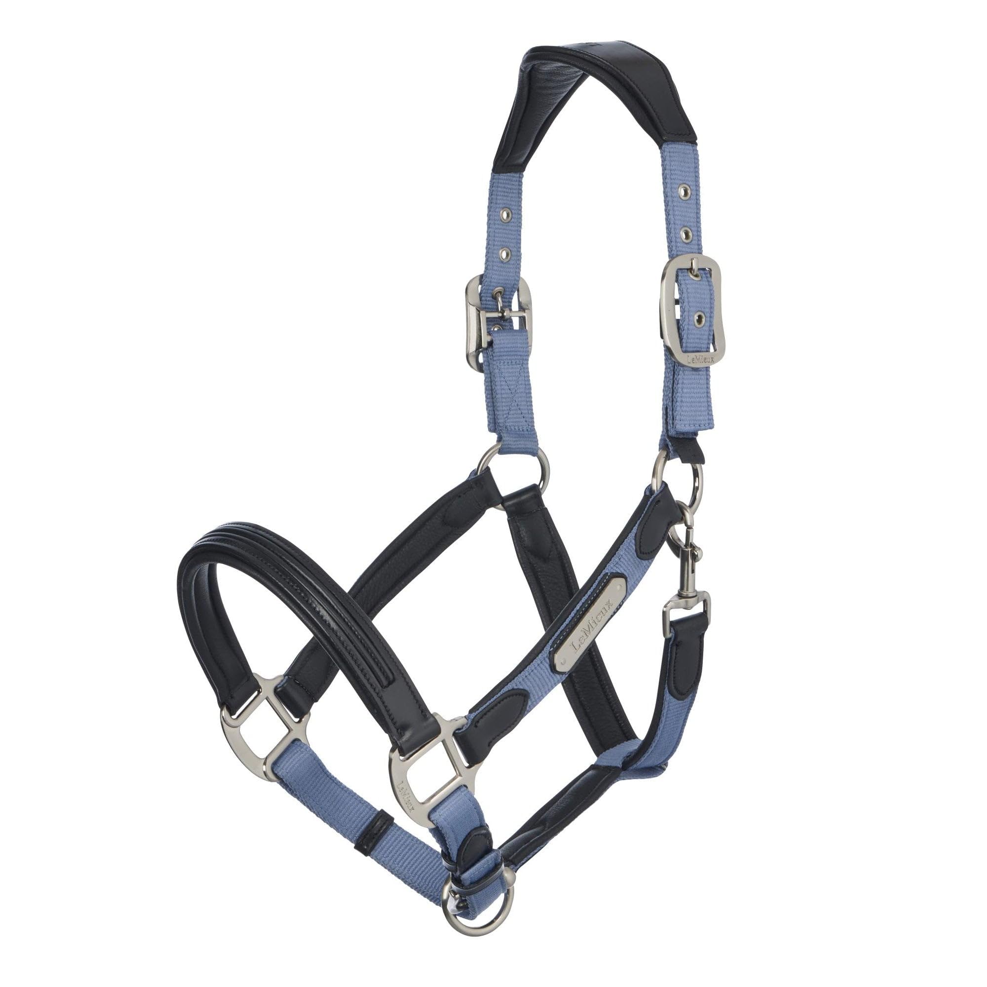 LeMieux Capella Headcollar - Azul polvo