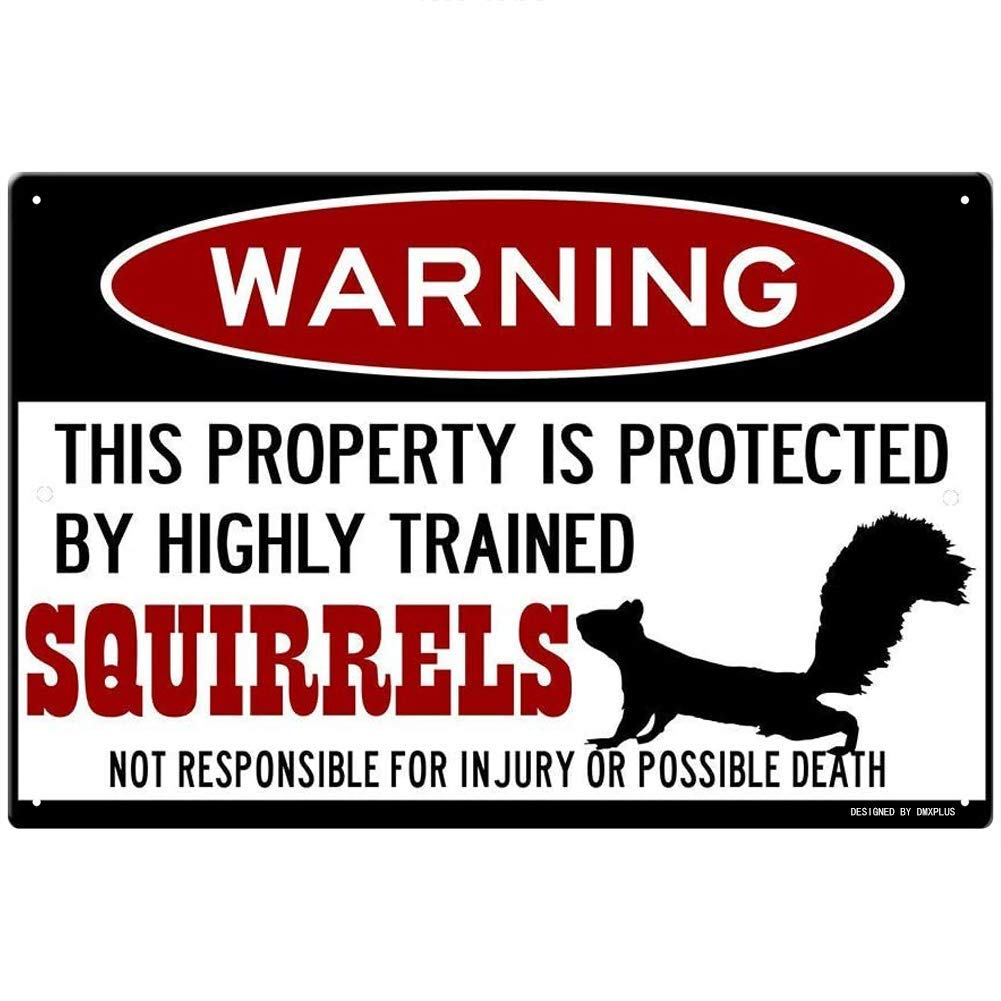 Squirrel Sign,Funny Metal Signs,Protected by Squirrels,Squirrels Warning Sign,Pet Squirrel,Beware of Sign Tin 8 X 6 Inches