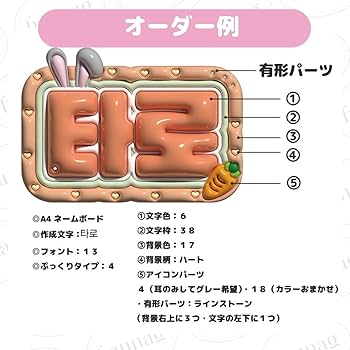 Amazon.co.jp: RIIZE アントン ネームボード : おもちゃ