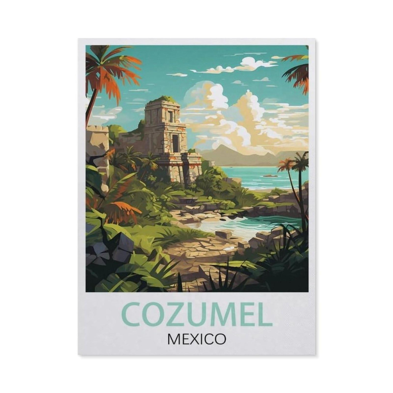 Vintage Art Metal Signs Funny Sign，Cozumel Mexico(15x30cm）