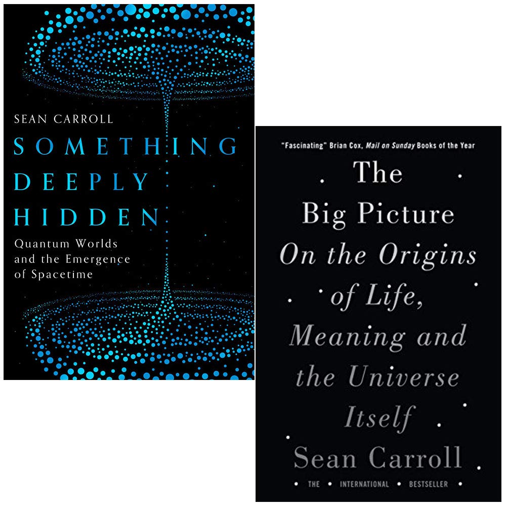 Sean Carroll Collection 2 Books Set (Something Deeply Hidden, The Big Picture)