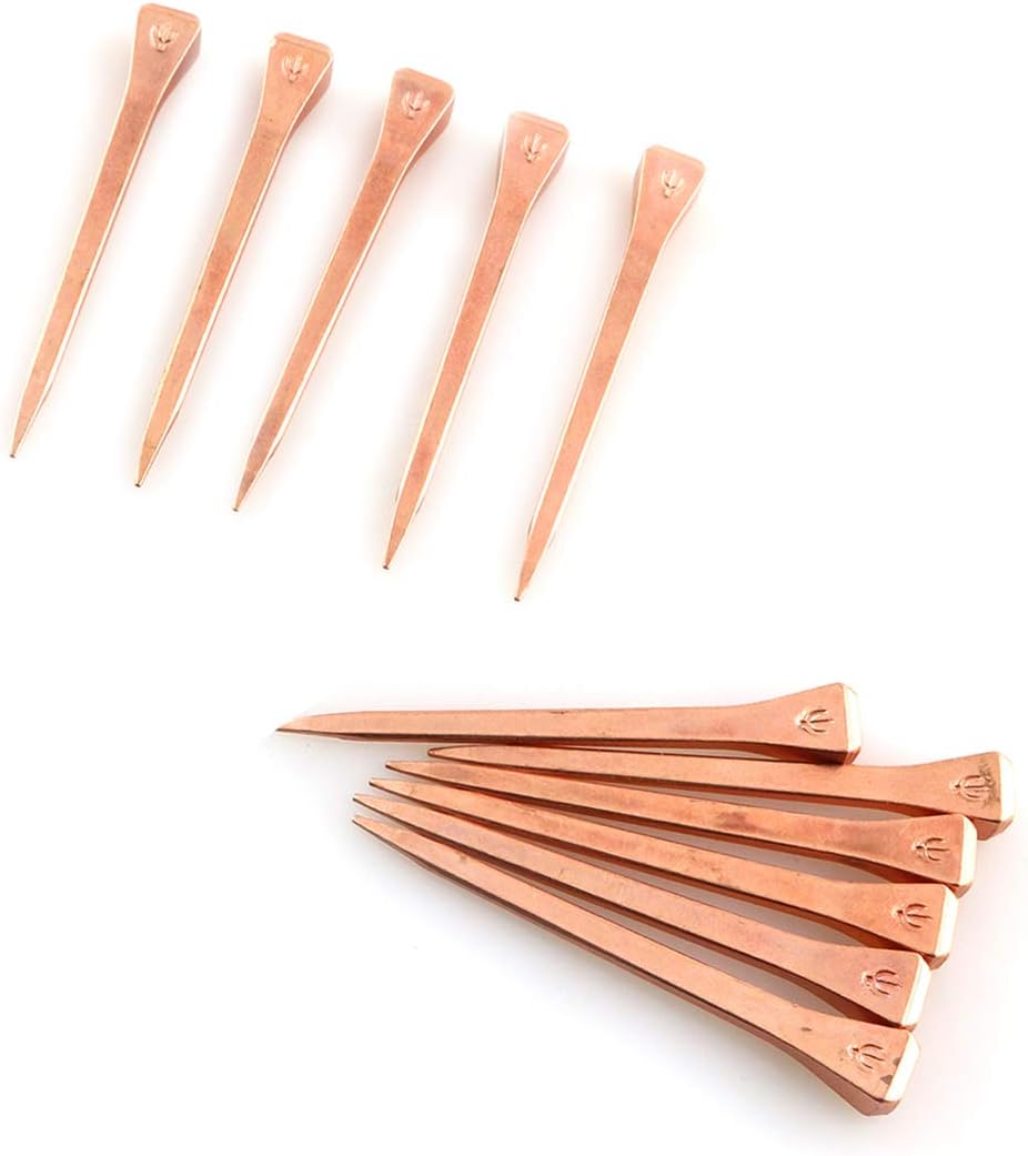 DZS Elec 25pcs E5 Horseshoe Nail 2.1 Inch Copper Plating Steel Horse Shoe Nails Craft High Tensile Strength Precision Nails