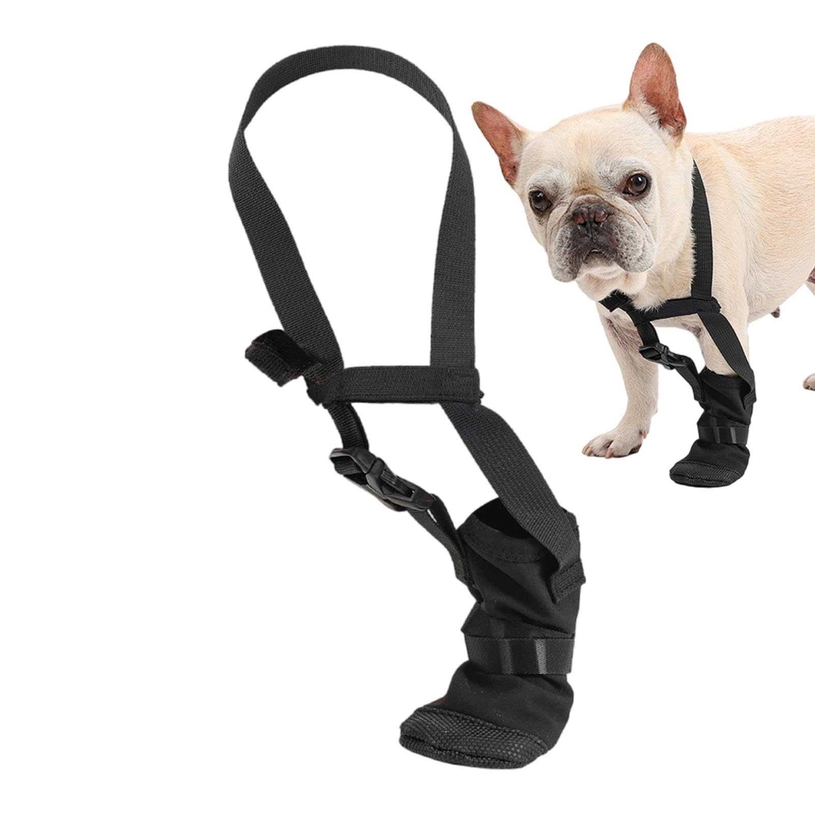 View 9