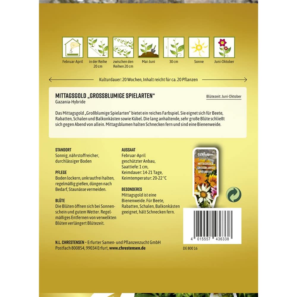 Mittagsgold Groblumige Spielarten, ppiger Bltentraum in bunter Mischung,  Samen : Amazon.de: Garten