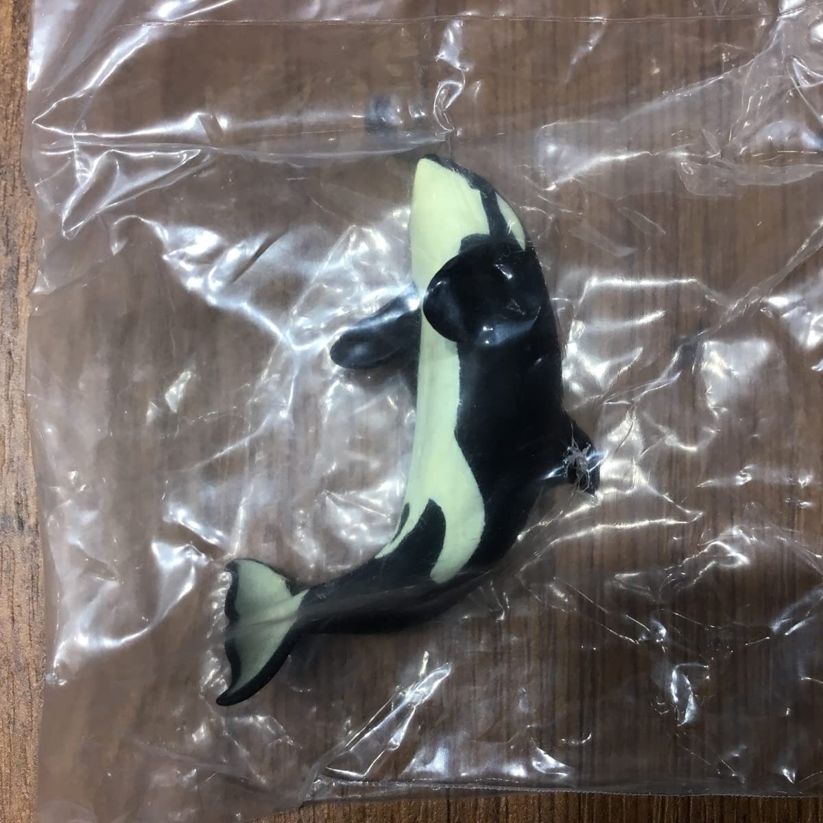 Amazon.co.jp: 内袋未開封 日本水族館立体生物図録 シャチ メス