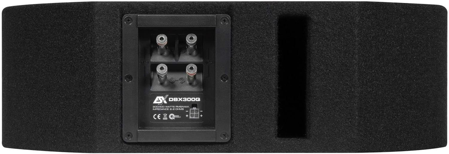 ESX DBX300Q | 15 x 23 cm (6 x 9') Bassreflex-System für die Reserverad-Mulde