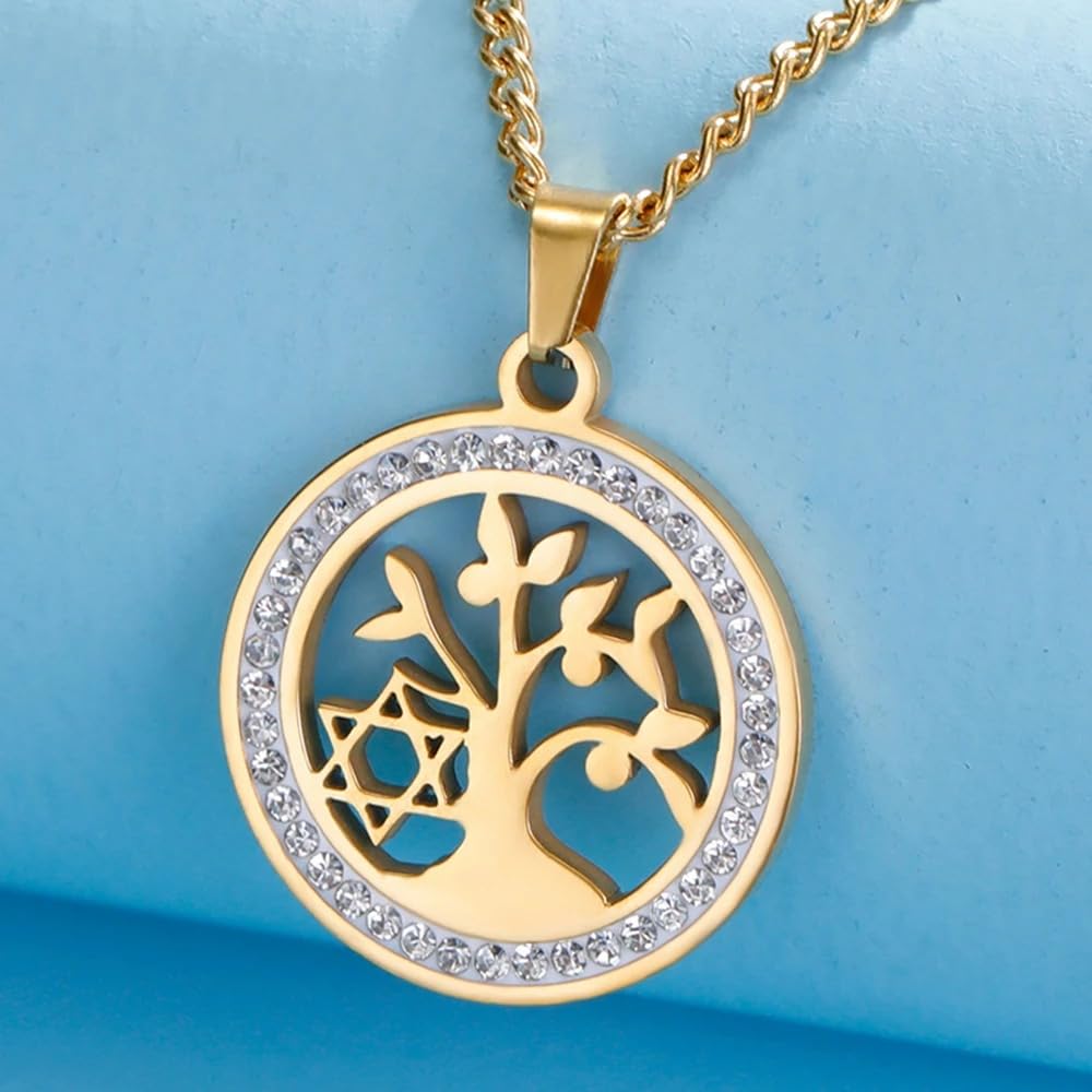Accessori per ragazze Collana Stella di David per donne e uomini, Ciondolo cavo rotondo esagramma in argento sterling 925 con zirconi, Donne ebree,