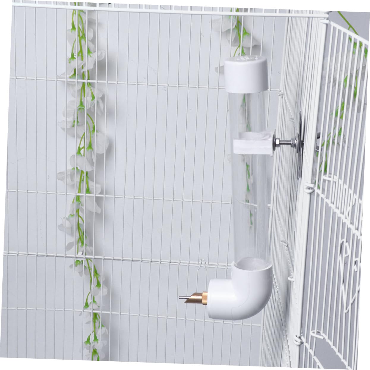 Angoily Ciotola per Acqua da Appendere alla Parete per Pappagalli di Media e Distributore d Acqua per Animali Domestici Mangiatoia Automatica per Pappagalli e Uccelli Stili multipli