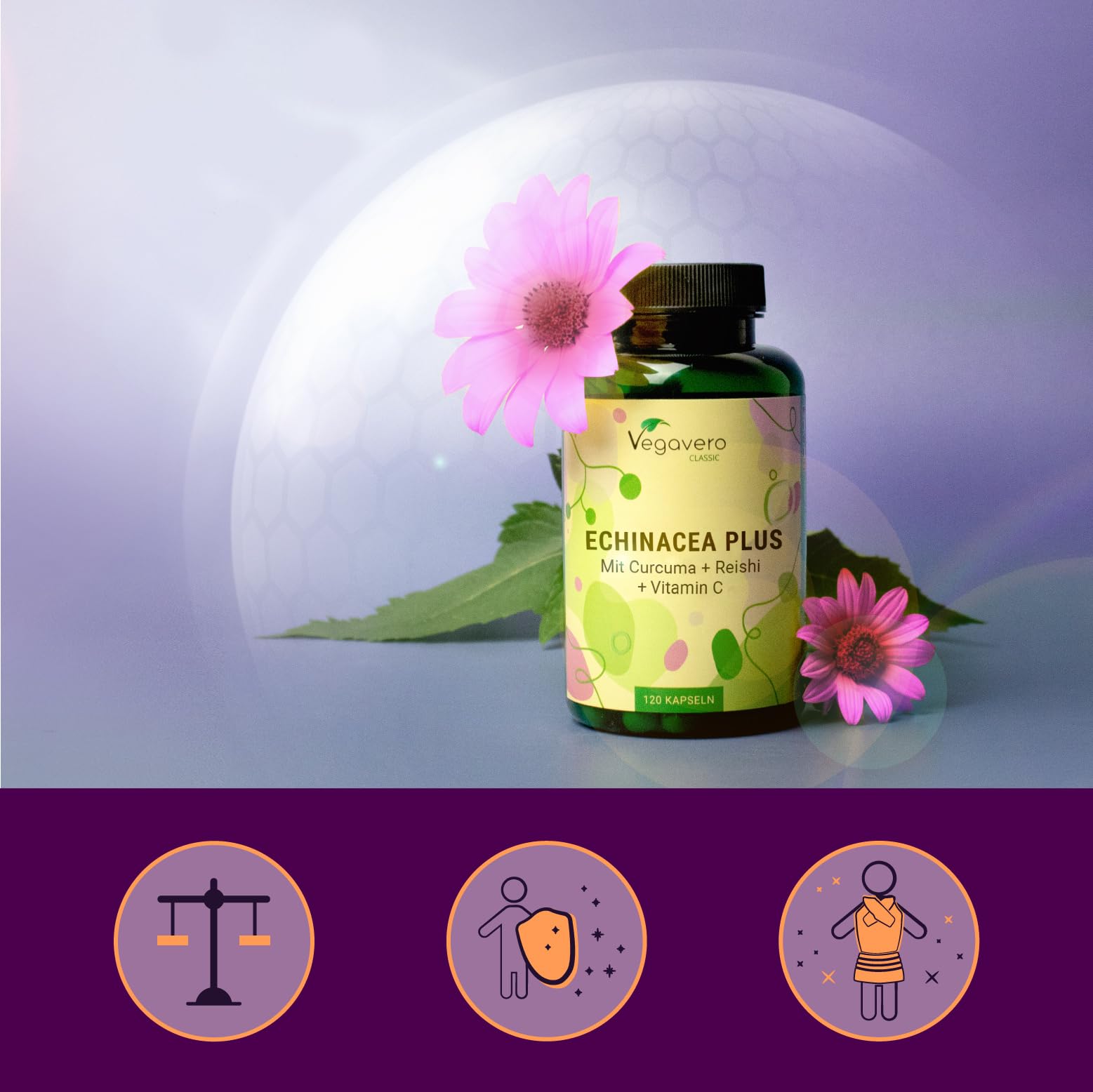 Complexe Échinacée Immunité | Avec Vitamine C, Reishi, Curcuma et Zinc | Sans Additifs & Vegan | 120 Gélules | Vegavero®