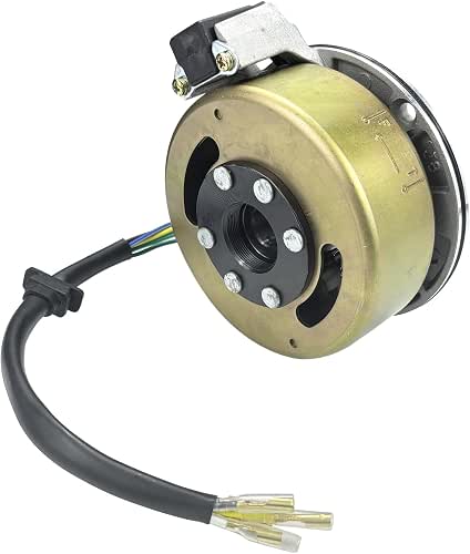 2 Coil Ignition Magneto Stator Flywheel Rotor Kit for 50cc-125cc