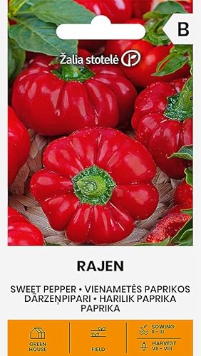 Zalia stotele | PIMIENTA - RAJEN H Semillas | Semillas de Hortalizas | semillas de pimiento | semillas de plantas | semillas de jardín | 1 paquete