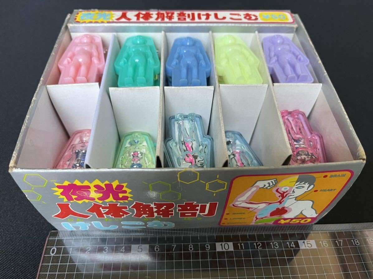 Amazon | 《》夜人体解剖 けしごむ《9種32個:箱入り》《1980年代