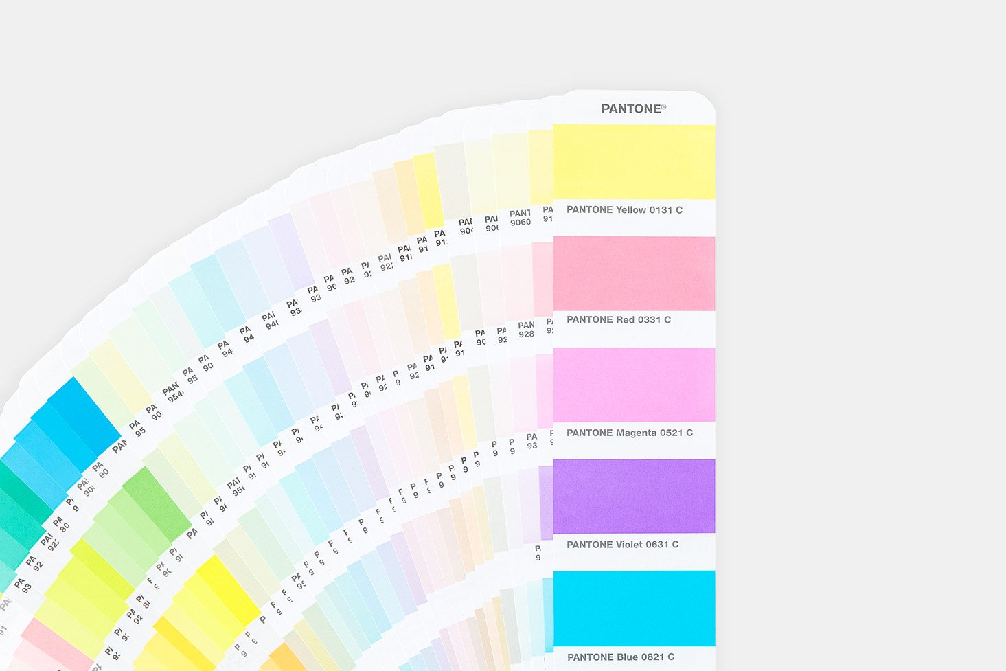 PANTONE Pastels & Neons Coated & Uncoated GG1504 : Amazon.in: Home