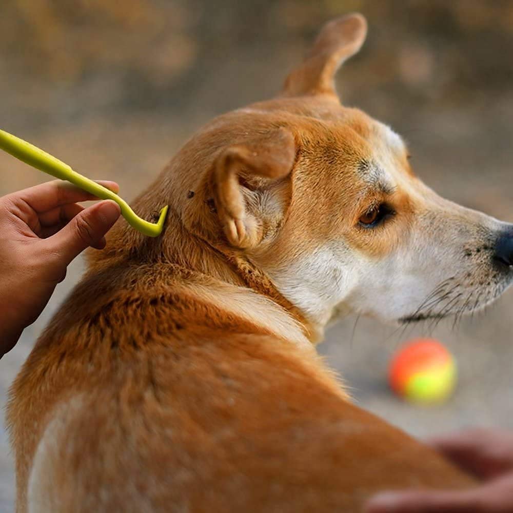 beejune 6 Stück Zeckenzange für Hunde, Zeckenzange Katze, Zeckenhaken, Zeckenzange Zeckenhaken, für Alle Größen Von Zecken(Grün, Blau)