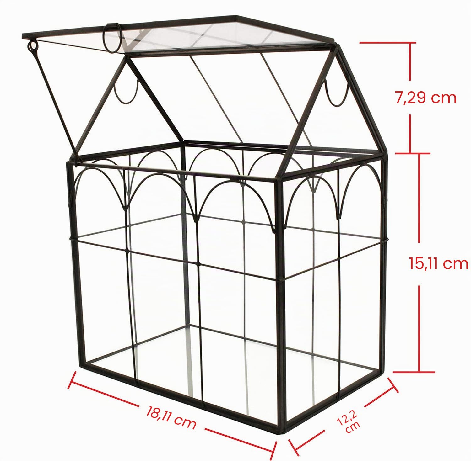 ElegantLife Terrario a forma di casa, fatto a mano, con coperchio basculante, per felci, muschio, cactus, piante aeree