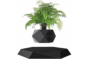 Magnetic Levitating Flower Pot Air Bonsai - The Revolutionary Floating Plant Oasis