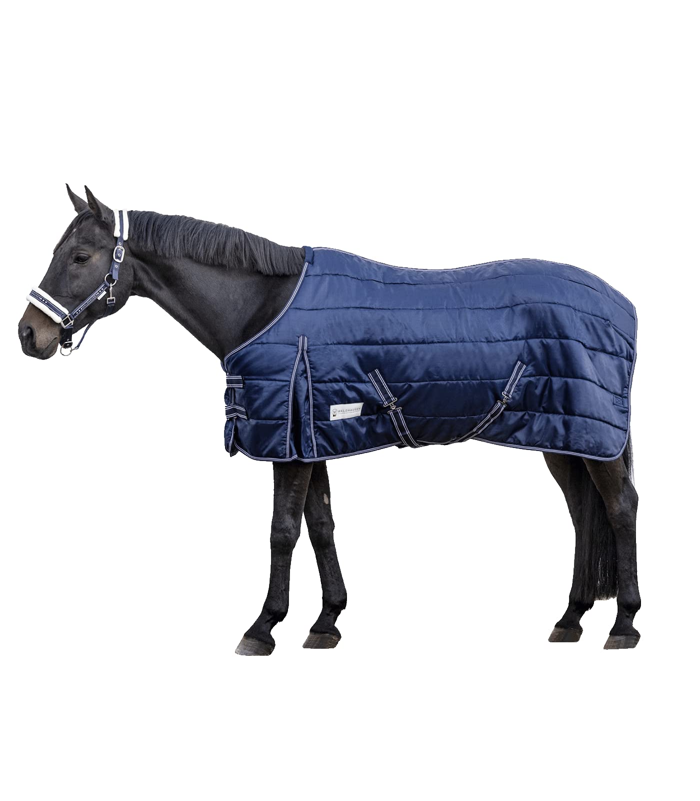 Couverture D'écurie WALDHAUSEN Vert Sapin 125 Cm - 200 G/m², Coupe Anatomique - Pour Cheval, Poney, Jours Frais Ou Transition