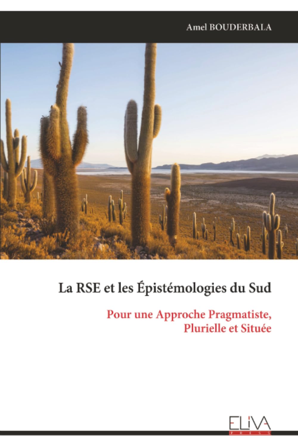 La RSE et les Épistémologies du Sud: Pour une Approche Pragmatiste, Plurielle et Située